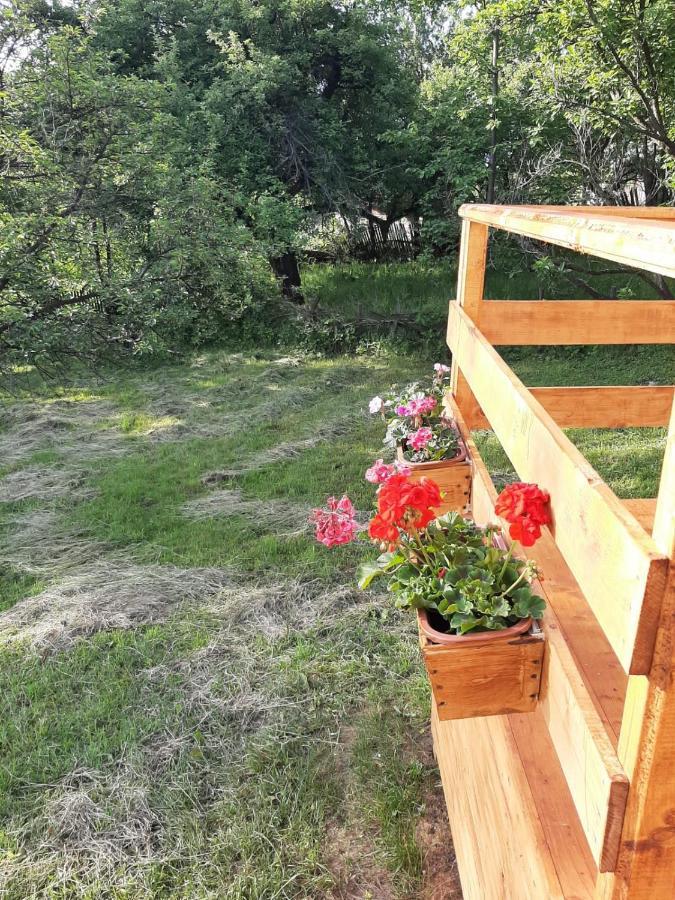 Cabana Din Livada Pucioasa エクステリア 写真