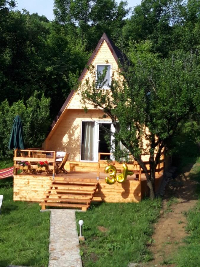 Cabana Din Livada Pucioasa エクステリア 写真